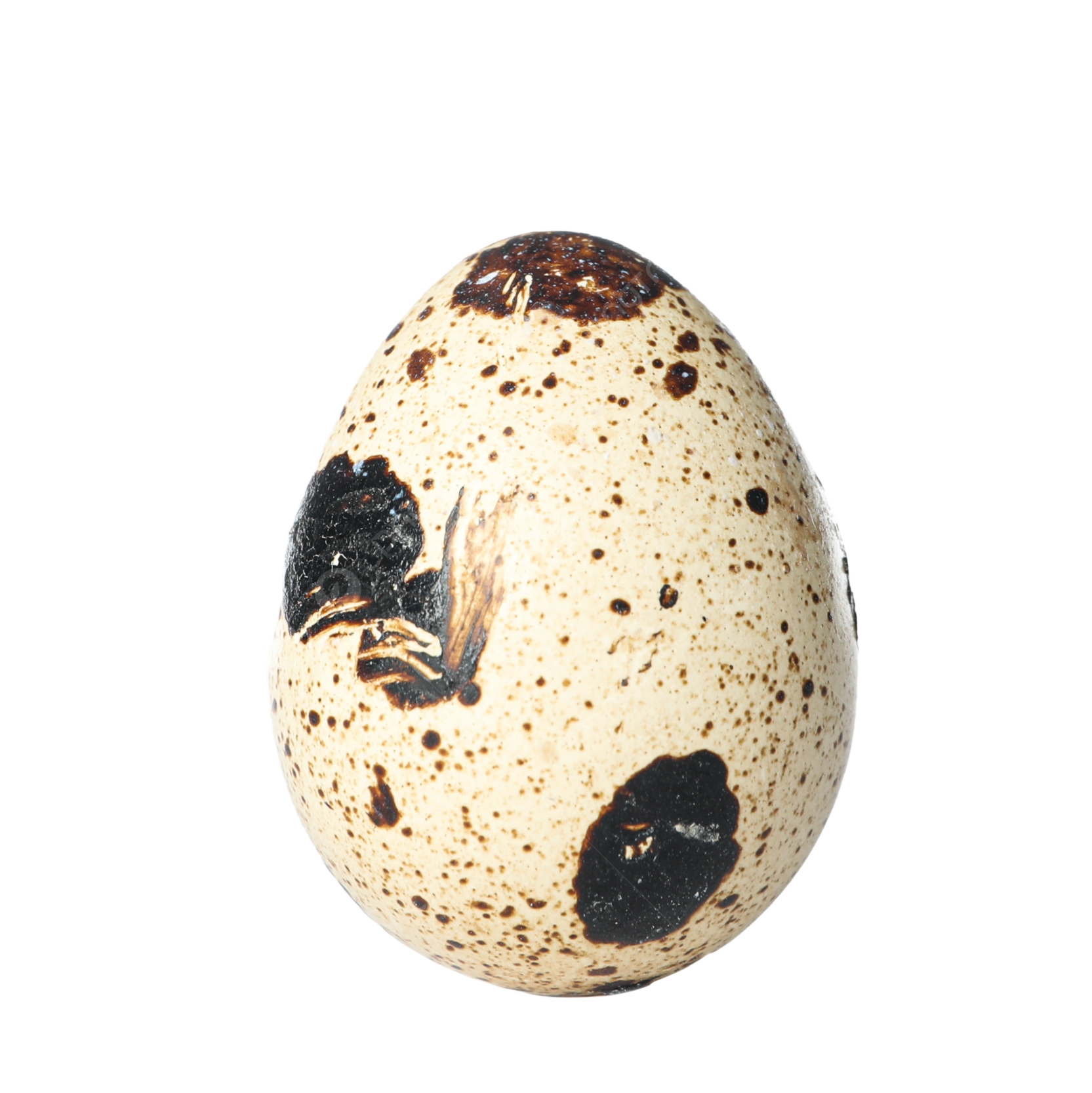 Quail Eggs – কোয়েল পাখির ডিম