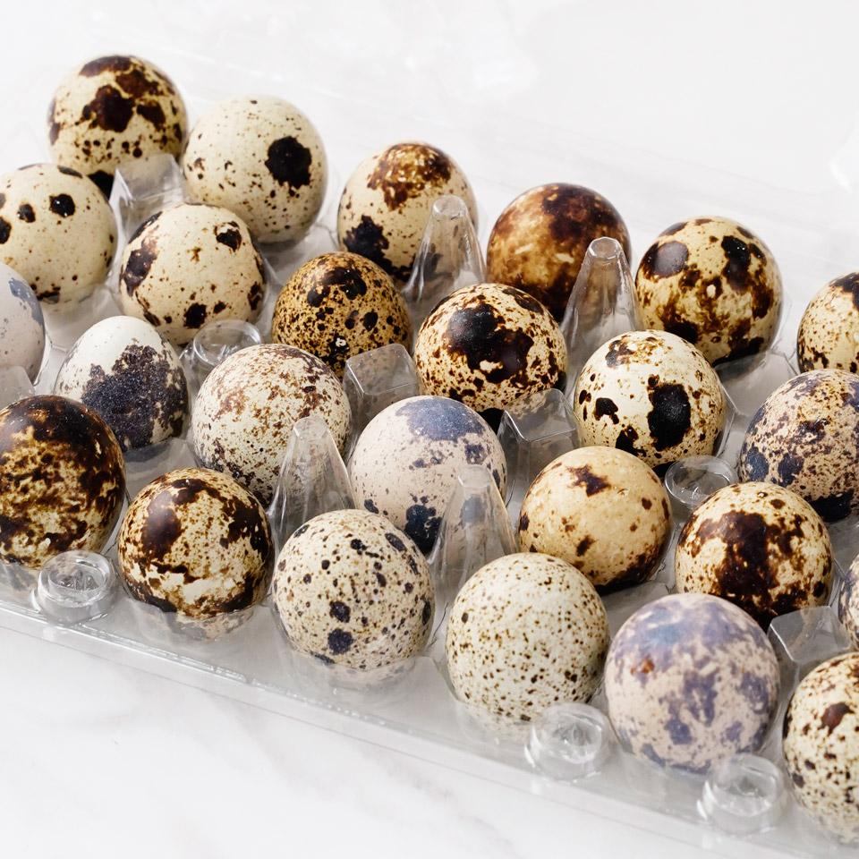 Quail Eggs – কোয়েল পাখির ডিম - Image 3